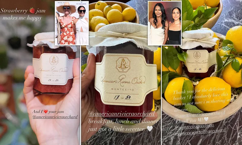 Торговая марка Меган для American Riviera Orchard официально аннулирована: данные из Патентного ведомства США