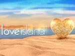 Габриэлла Барсдли, участница Love Island, впервые замечена после попытки прорыва полицейского кордона на своем Audi