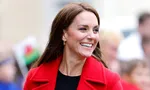 Неожиданная ситуация заставила Кейт Миддлтон и принца Уильяма смеяться во время королевского визита