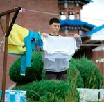Соскучились по Паку Се-Джуну? 8 К-драм, которые покорили зрителей от "Итаевон Класса" до "Она была прекрасна"