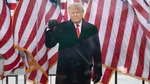 Джо Джудич просит Трампа о помиловании и возвращении в США после депортации