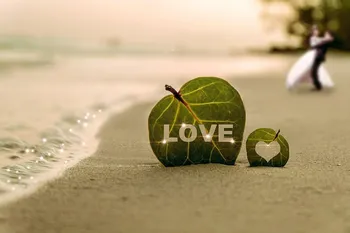 Фанаты Love Island считают неожиданный поворот подстроенным: новый участник Харрисон может выбрать Тони после неожиданной связи между ними