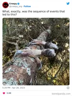 Фанаты шоу "Это утро" раскритиковали нового ведущего за "жуткое" дебютное выступление - заметили ли вы причину?