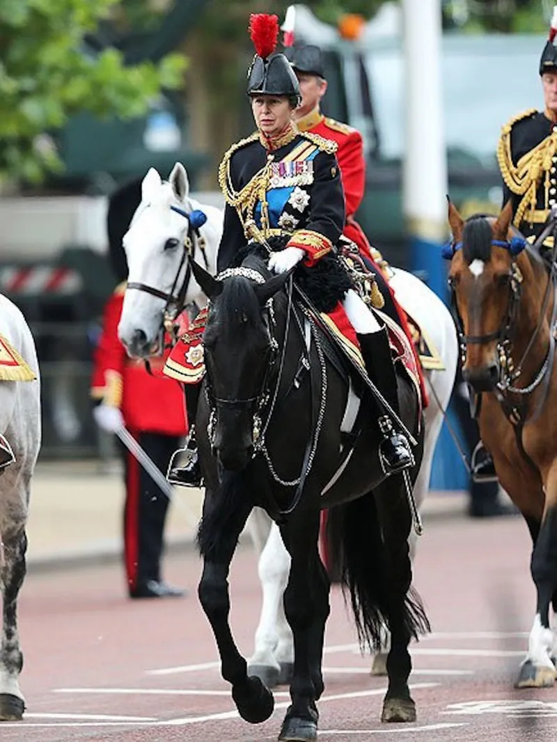 Принцесса Анна борется с непослушной лошадью на параде Trooping the Colour