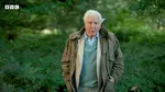 Сэр Дэвид Аттенборо, 98 лет, откровенно говорит о приближении конца своей жизни