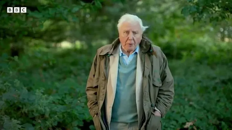 Сэр Дэвид Аттенборо, 98 лет, откровенно говорит о приближении конца своей жизни
