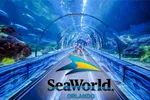 Летний концертный сезон хип-хопа и R&B в SeaWorld: феерия, покорившая сердца зрителей