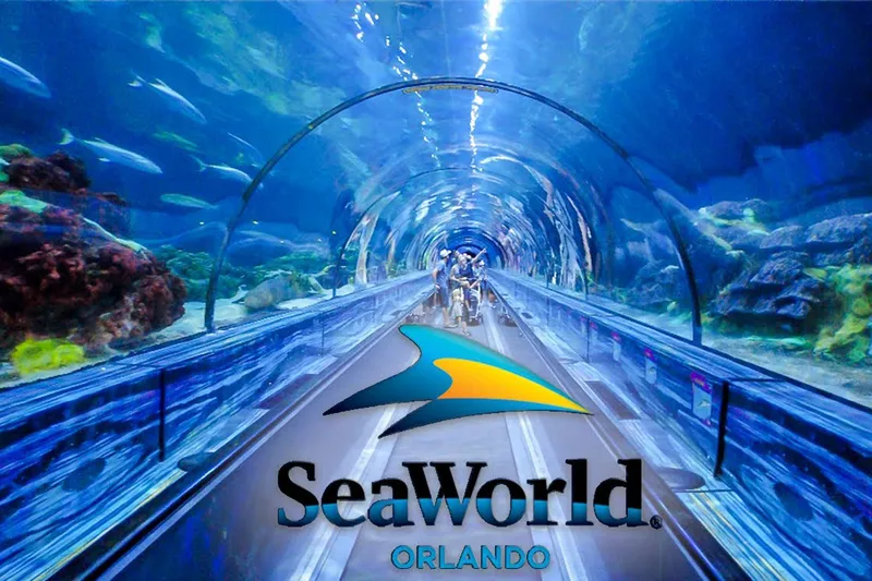 Летний концертный сезон хип-хопа и R&B в SeaWorld: феерия, покорившая сердца зрителей