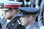 Что принцы Гарри и Уильям могут узнать у Лиама и Ноула Галлахеров перед их туром воссоединения?