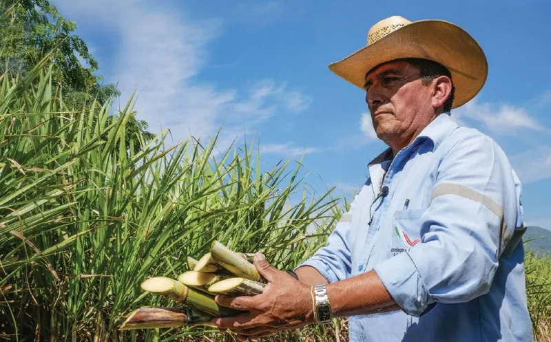 Производство сахара в Мексике ожидается на самом низком уровне за последние 10 лет