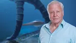 Правда о новом океанском документальном фильме Дэвида Аттенборо: насколько он на самом деле вовлечен?