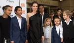 Анджелина Джоли обязана предоставить все соглашения о неразглашении, подписанные с третьими лицами с 2014 по 2022 год