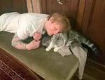 Кошка Мередит Тейлор Свифт неожиданно появилась на публике после того, как звезда вернула контроль над своими мастер-записями — реакция фанатов